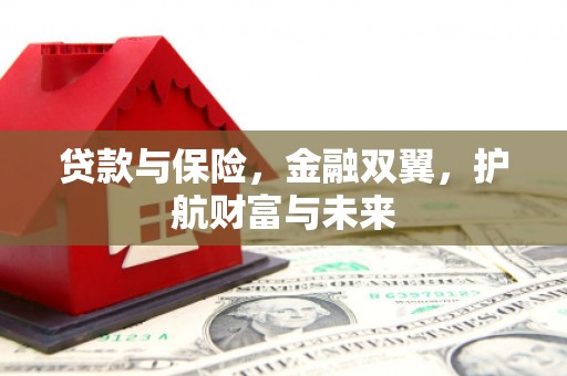 黎川贷款与保险，金融双翼，护航财富与未来