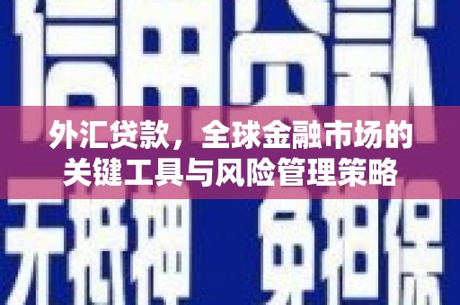 黎川外汇贷款，全球金融市场的关键工具与风险管理策略