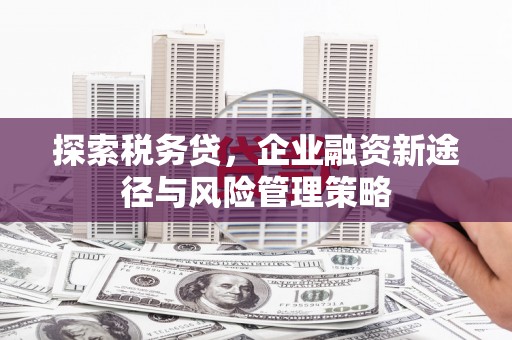 黎川探索税务贷，企业融资新途径与风险管理策略