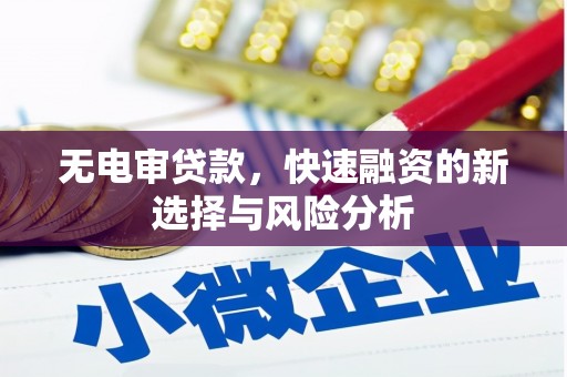 黎川无电审贷款，快速融资的新选择与风险分析