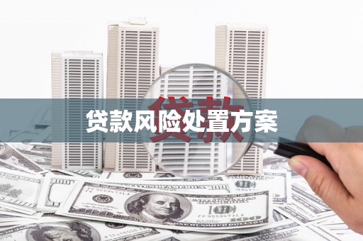 黎川贷款风险处置方案