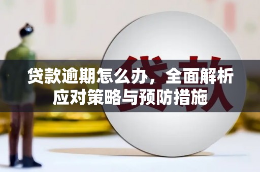 黎川贷款逾期怎么办，全面解析应对策略与预防措施
