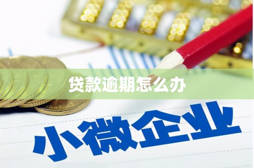 黎川贷款逾期怎么办