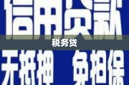 黎川税务贷