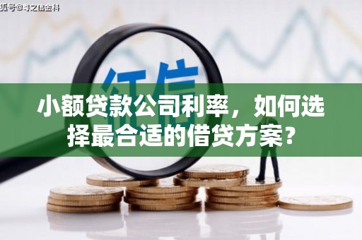 黎川小额贷款公司利率，如何选择最合适的借贷方案？