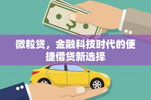 黎川微粒贷，金融科技时代的便捷借贷新选择