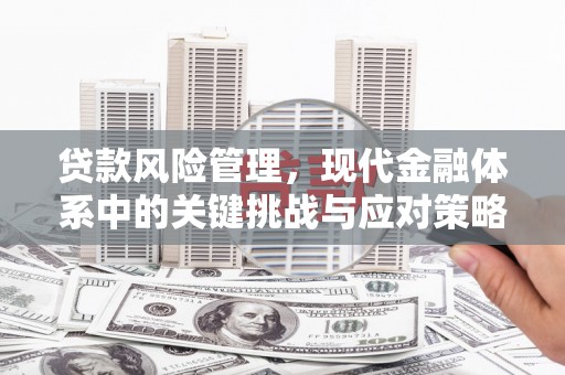 黎川贷款风险管理，现代金融体系中的关键挑战与应对策略
