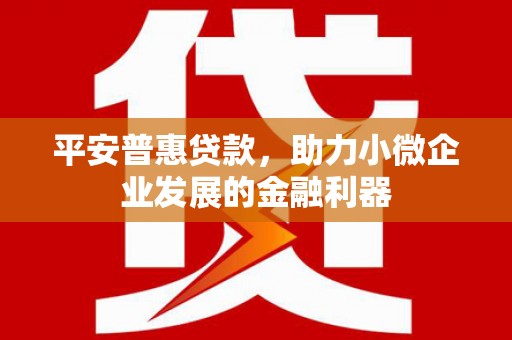 黎川平安普惠贷款，助力小微企业发展的金融利器